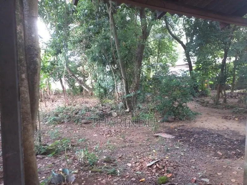Land for Rent Kelaniya