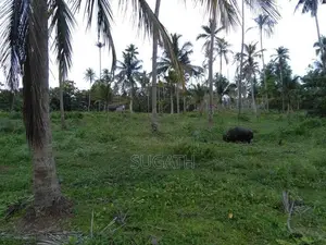 Land for Sale in Ja Ela