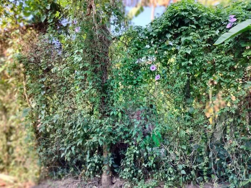 Land for Sale – Thalawatugoda