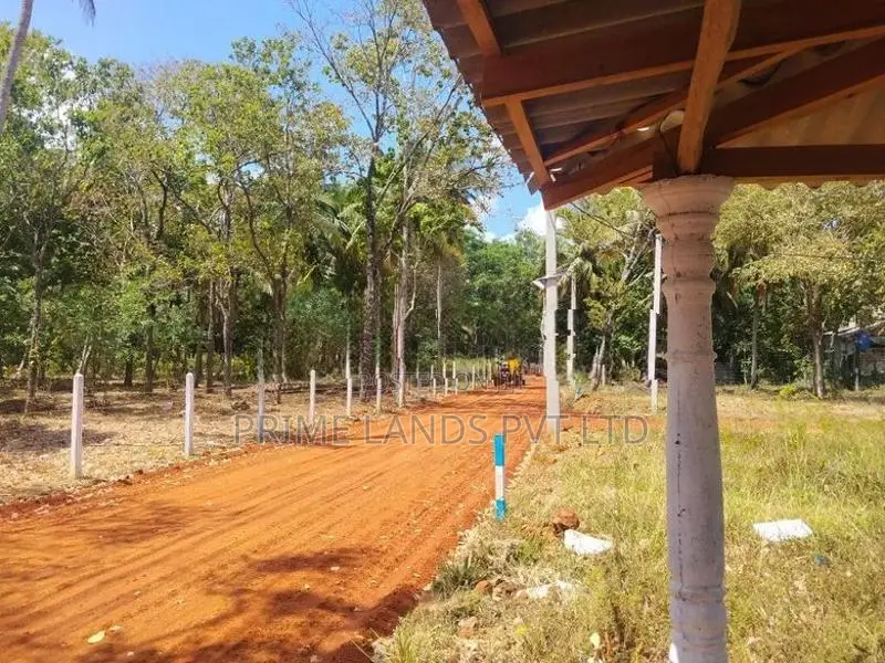 Land for Sale in Maradankadawala Town