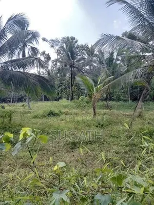 Land for sale-Kuswala