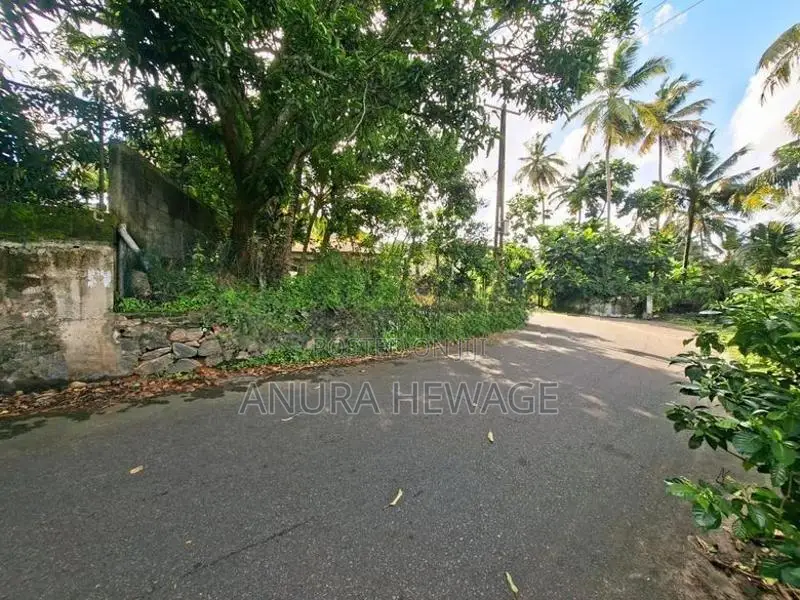 සීග්‍රයෙන් දියුණු වන මහරගම නගරයෙන් වටිනා ඉඩමක් විකිණීමට. (ID : MHRG001