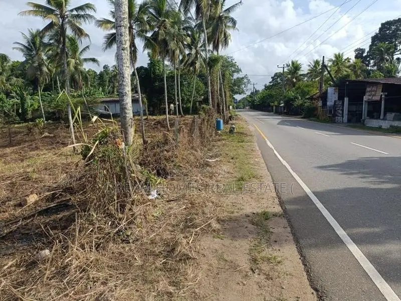 Main Road Facing Commercial Land for Sale – Padukka