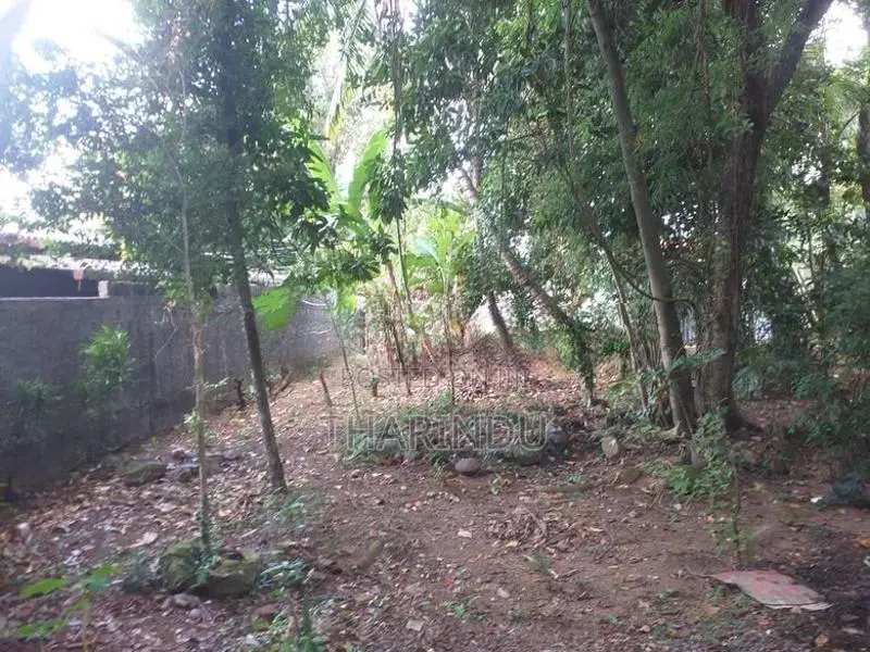 Land for Rent Kelaniya