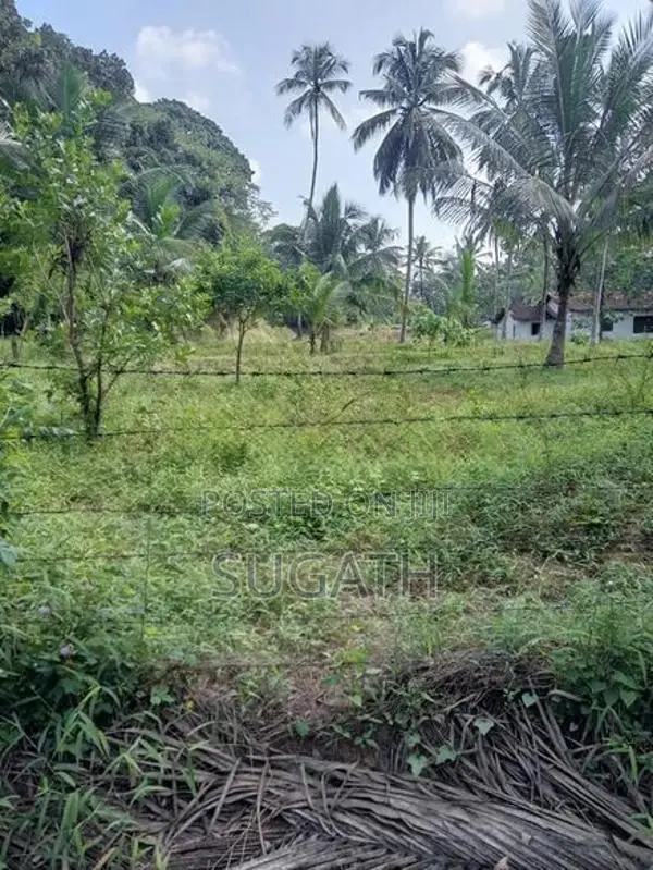 Land for sale-Kuswala