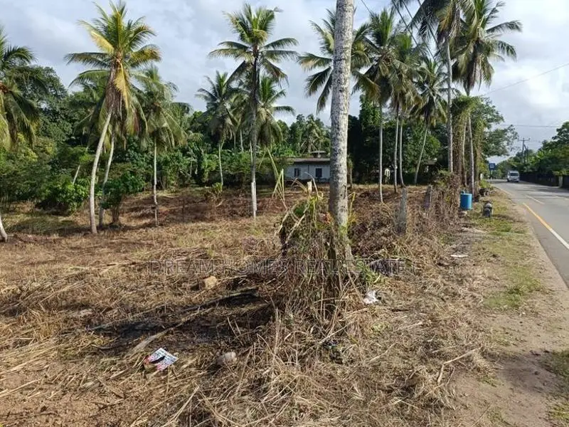 Main Road Facing Commercial Land for Sale – Padukka