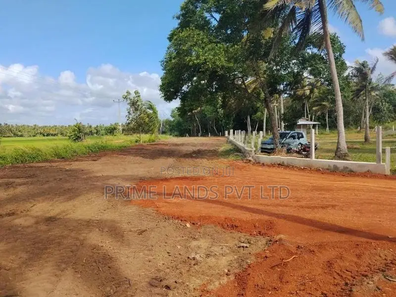 Land for Sale in Anuradhapura Nachchaduwa