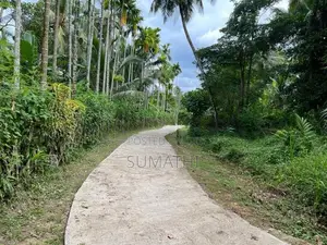 Residential Land In Alawwa