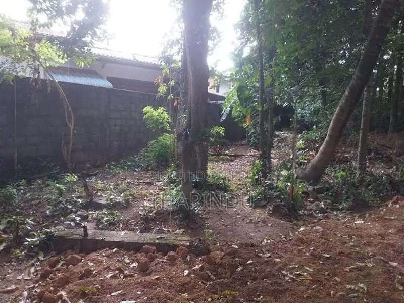 Land for Rent Kelaniya