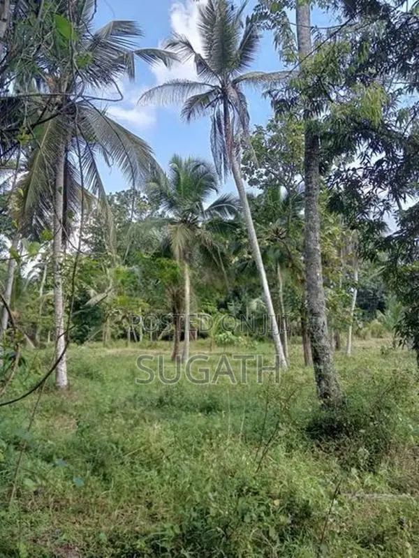Land for sale-Kuswala