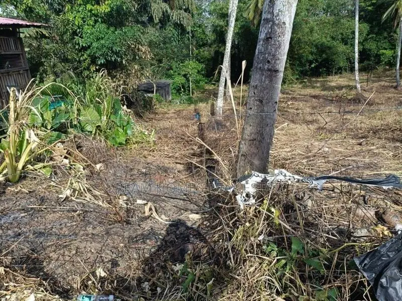 Main Road Facing Commercial Land for Sale – Padukka