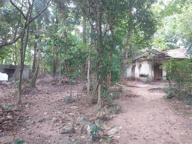 Land for Rent Kelaniya