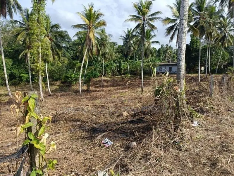 Main Road Facing Commercial Land for Sale – Padukka