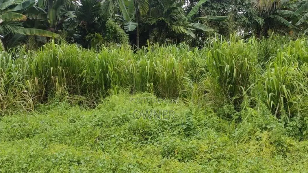 Land for Sale in Pannipitiya