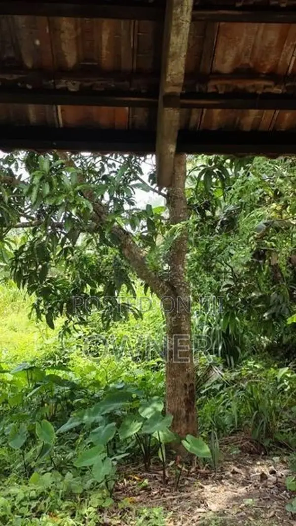 Land for Sale in Pannipitiya