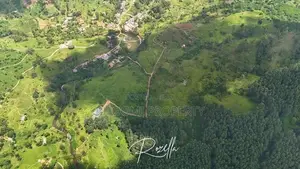 Beautiful Houses for Sale in Rozella