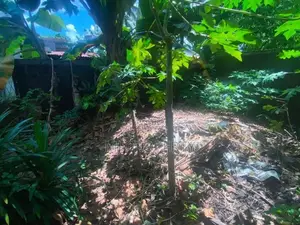 ( IS-1051) Valuable Residential Bare Land Sale in Homagama