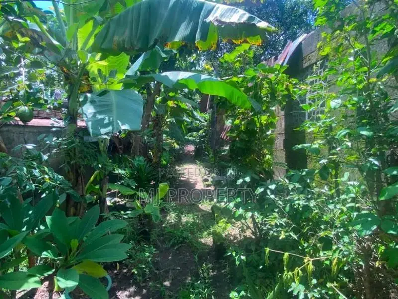 ( IS-1051) Valuable Residential Bare Land Sale in Homagama