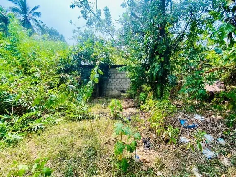 ( IS-1007) Valuable Commercial Bare Land for Sale in Kottawa