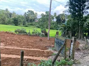 Land for Sale in Matara Palatuwa