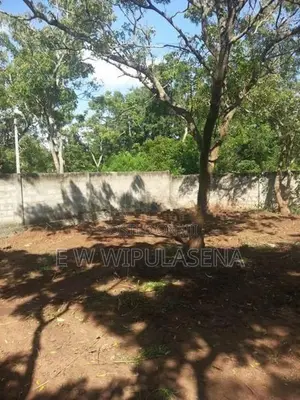 37 Prime Perch Commercial Land – Hambantota Harbour Area
