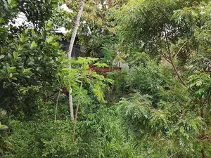 14-Perch Land for Sale – Pannipitiya ( Property Id - L2598)