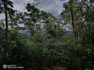 Kithulgala– Prime 21-Acre Land for Sale