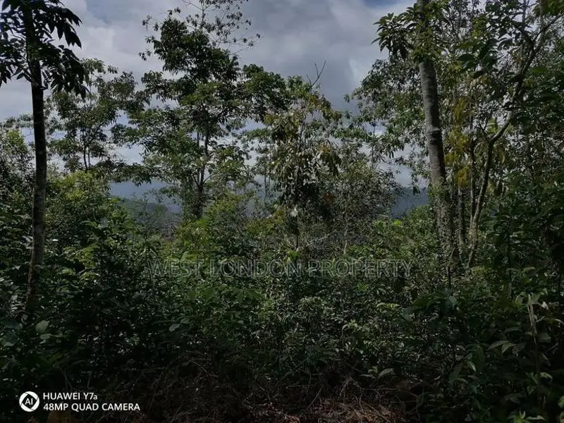 Kithulgala– Prime 21-Acre Land for Sale