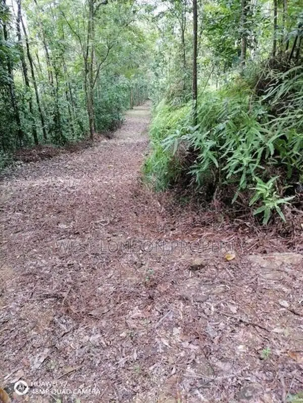 Kithulgala– Prime 21-Acre Land for Sale