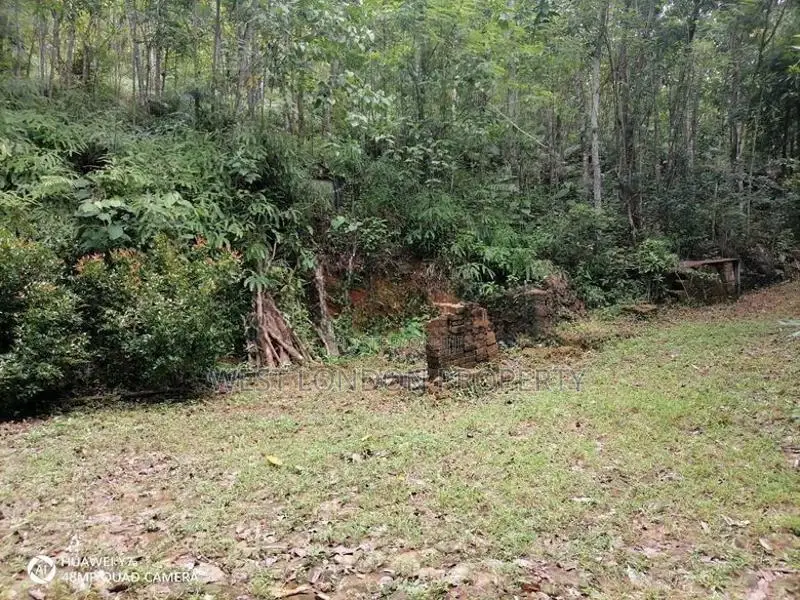 Kithulgala– Prime 21-Acre Land for Sale