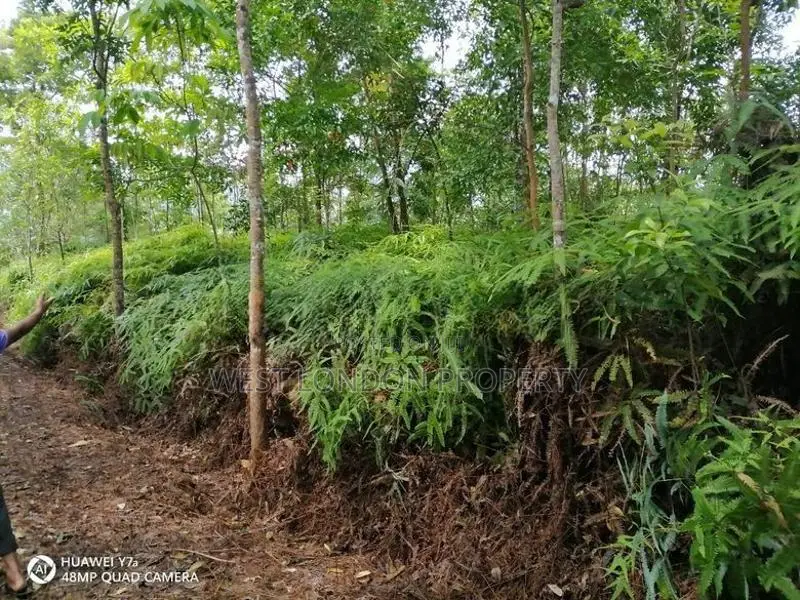 Kithulgala– Prime 21-Acre Land for Sale