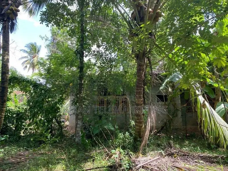Land for sale – Yakkala