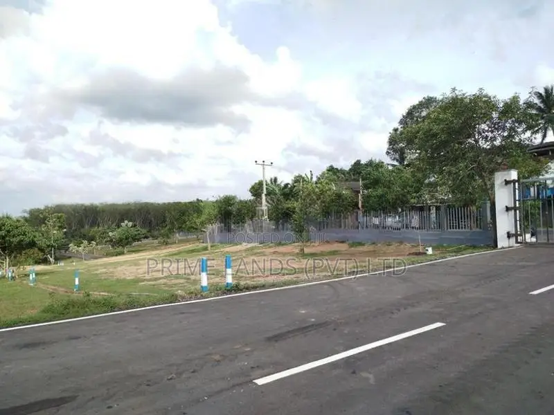හෝමාගම බෙරුකැටිය බිම් කොටස් විකිණීමට