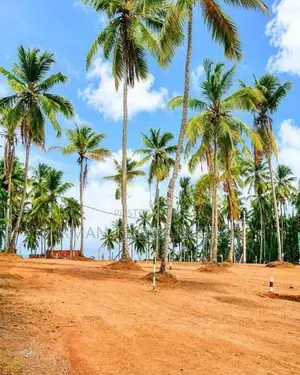 Harmony Gardens Land for Sale – Henegama, Weliweriya