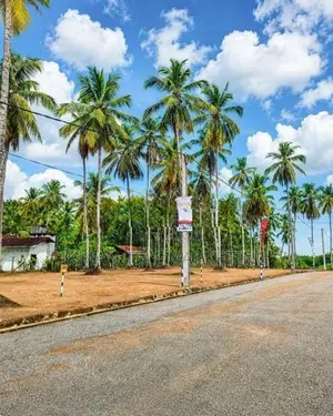 Harmony Gardens Land for Sale – Henegama, Weliweriya