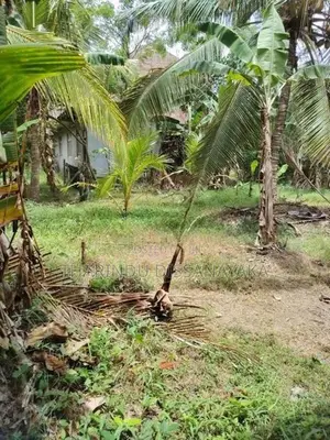 Land in Kadawatha Imbulgoda Plot 14