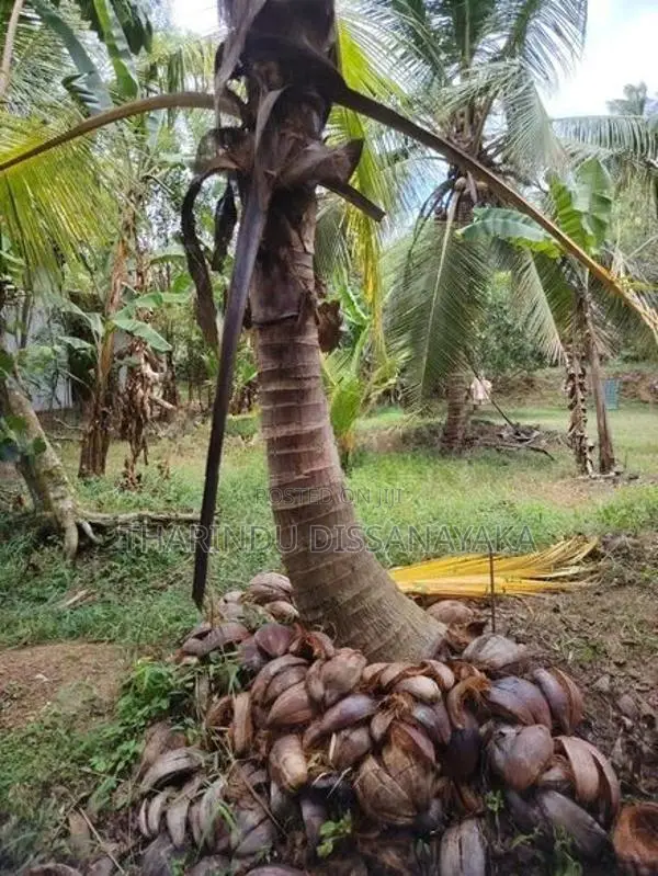 Land in Kadawatha Imbulgoda Plot 14