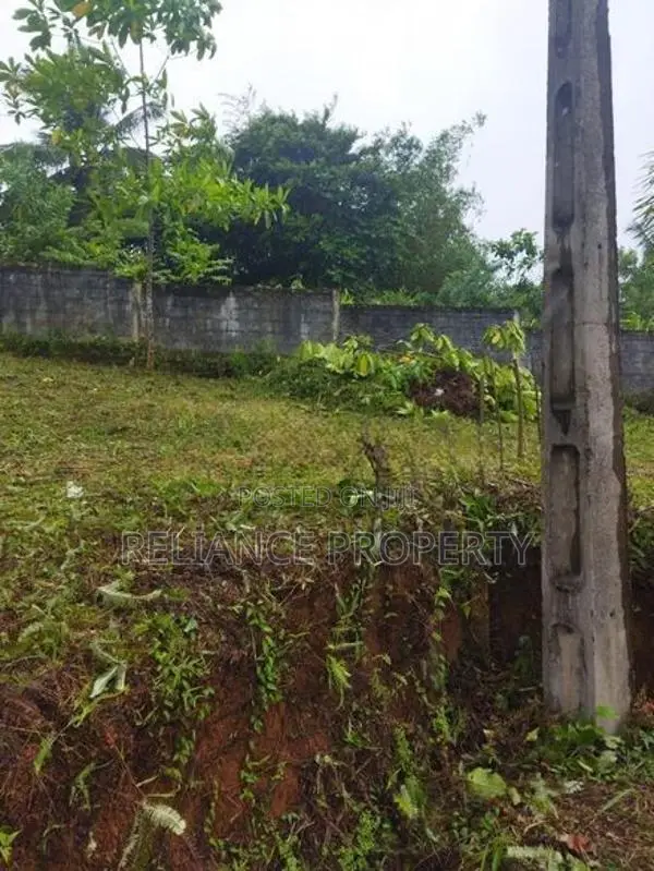 Ideal Land for Sale in Homagama -Thalagala