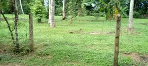 Gampaha - Delgoda paddy field facing 24 perch land for sale