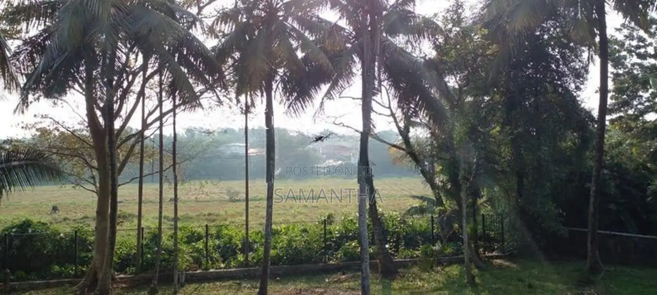 kaduwela - Delgoda town paddy field facing 24 perch land for sale .