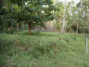 Land in Kadawatha Imbulgoda Plot 18