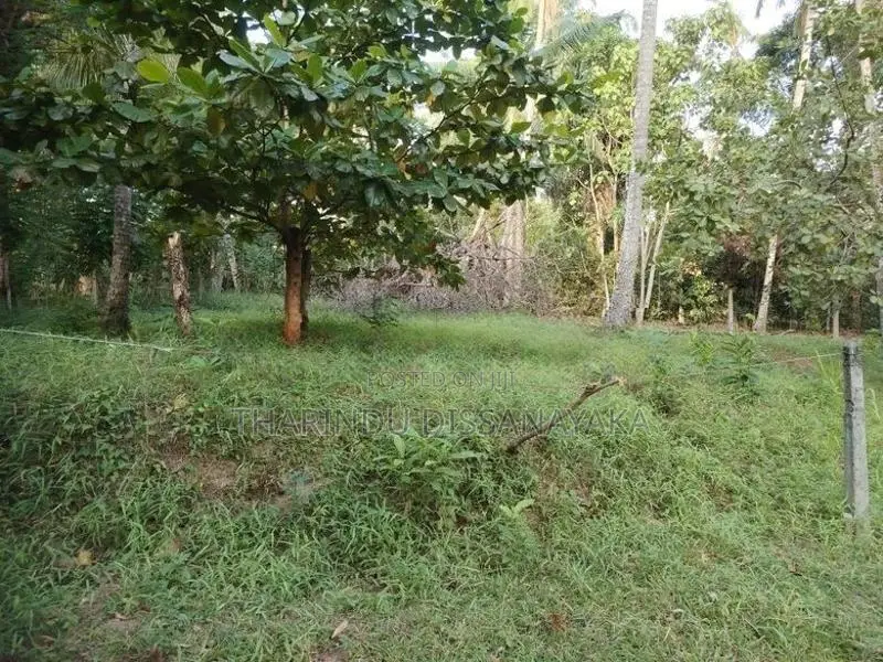 Land in Kadawatha Imbulgoda Plot 18