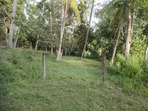 Land in Kadawatha Imbulgoda Plot 18