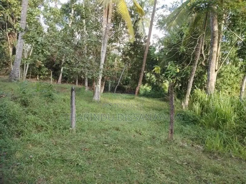 Land in Kadawatha Imbulgoda Plot 18