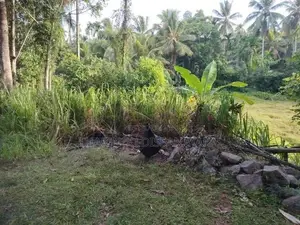 Land in Kadawatha Imbulgoda Plot 18