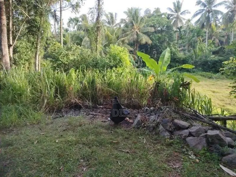 Land in Kadawatha Imbulgoda Plot 18