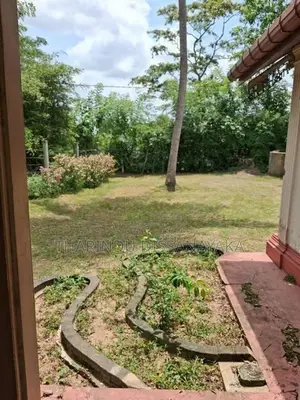 Land in Veyangoda Town Plot 01