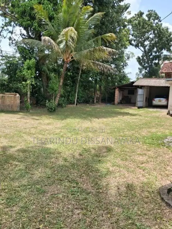 Land in Veyangoda Town Plot 01