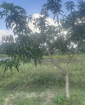 Land for Sale Kilinochchi