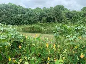 7.5p, Beautifull Land, Werahera, Boralesgamuwa